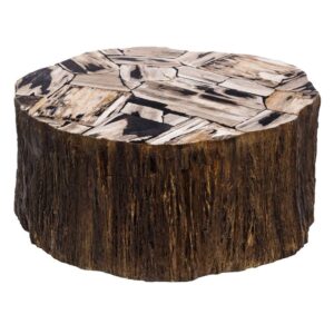 Mesa de Centro de Madera Petrificada Oro Viejo-Negro 100x100x40 cm