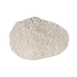 Pack de 2 Lámparas de Mesa Coral LED en Arenisca - Diseño Moderno, Batería de 70 Horas, 8,5 cm