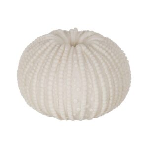 Pack de 2 Lámparas de Mesa Erizo en Arenisca con Iluminación LED - Diseño Moderno, Batería de 70 Horas, 8,3 cm