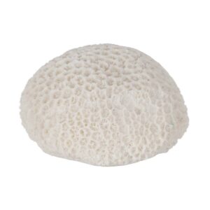 Pack de 2 Lámparas de Mesa Esponja de Arenisca con Iluminación LED - 9 cm, Batería de 70 Horas, Diseño Moderno y Elegante