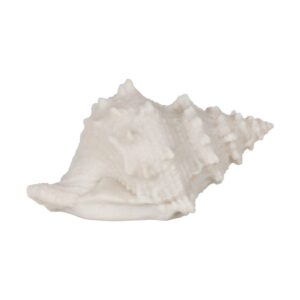 Pack de 2 Lámparas de Mesa Concha de Arenisca LED - Decoración Elegante 11 cm, Batería de 70 Horas (3 x AAA No Incluidas)