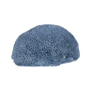 Figura Decorativa de Esponja Azul en Resina - 11 cm para Decoración Moderna