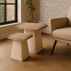 Mesa Auxiliar de Madera de Mango y Hierro 50x50x52 cm