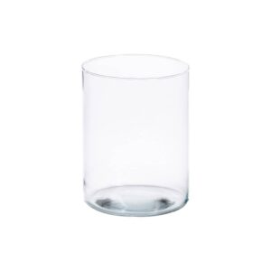 Jarrón Decorativo de Cristal Transparente 15x15x20 cm - Modelo Febrero 2025