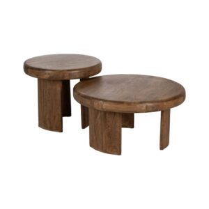 Set de 2 Mesas de Centro de Madera de Mango - Diseño Elegante y Funcionalidad para Salones Modernos y Rústicos, 41 cm de Altura